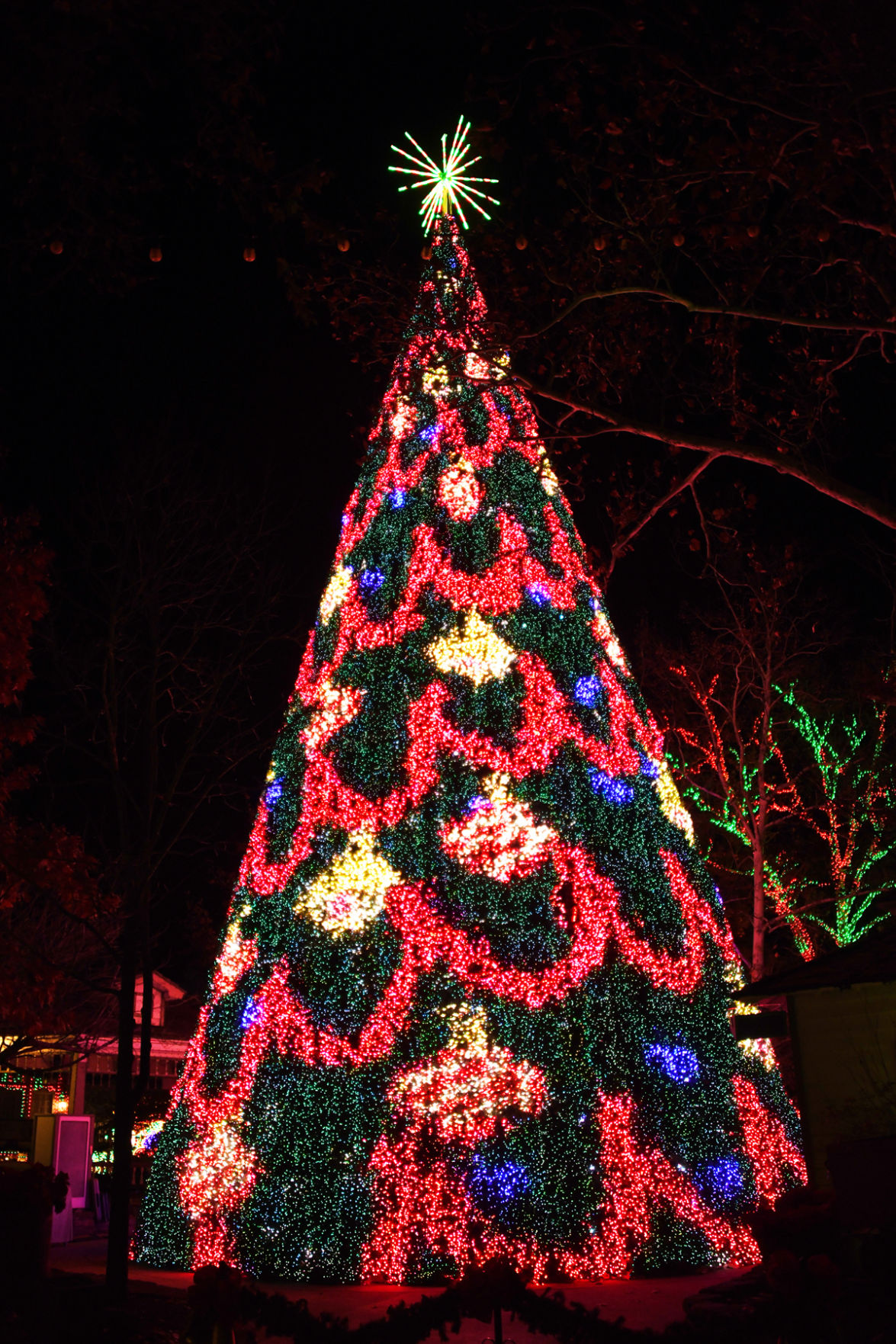 152 The 8-story tree at Silver Dollar City constantly changed its appearance.jpg
